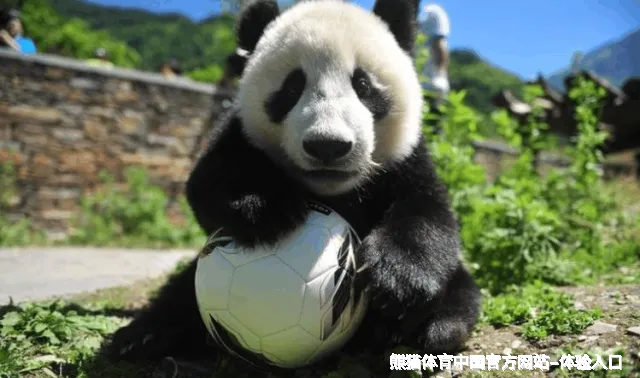 为什么选择我们？ - 熊猫体育app